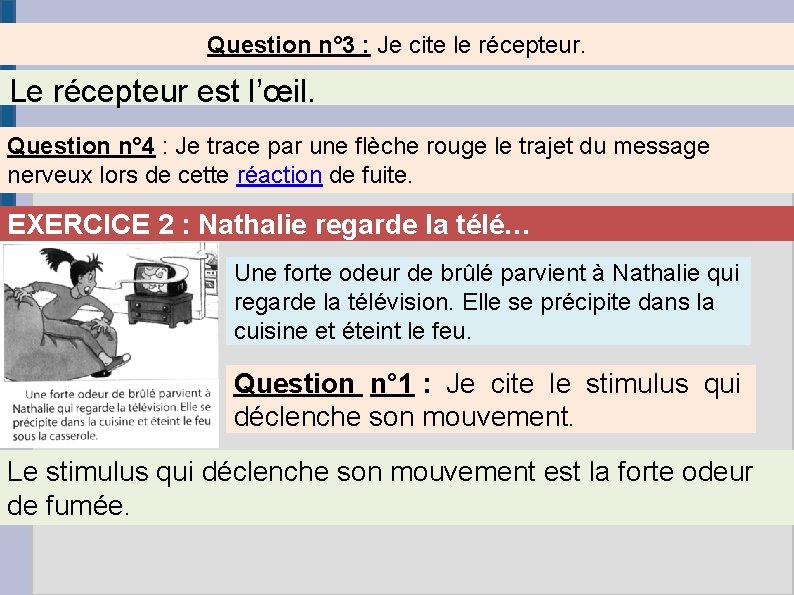 Question n° 3 : Je cite le récepteur. Le récepteur est l’œil. Question n°