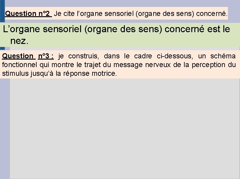 Question n° 2 Je cite l’organe sensoriel (organe des sens) concerné. L’organe sensoriel (organe