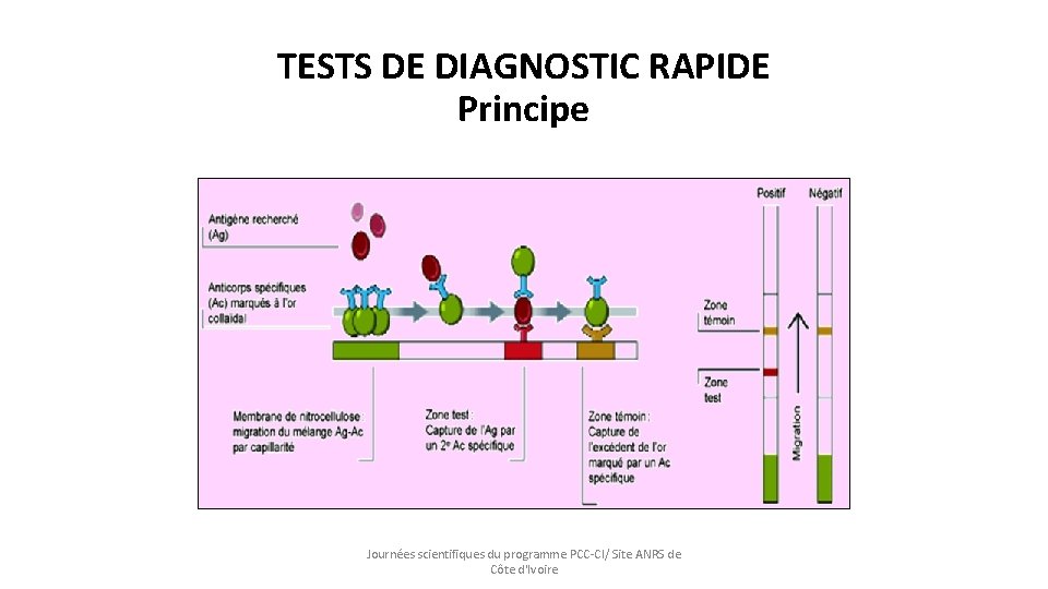 TESTS DE DIAGNOSTIC RAPIDE Principe Journées scientifiques du programme PCC-CI/ Site ANRS de Côte
