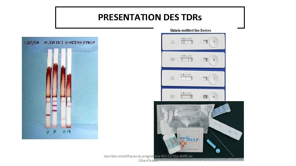 PRESENTATION DES TDRs Journées scientifiques du programme PCC-CI/ Site ANRS de Côte d'Ivoire 