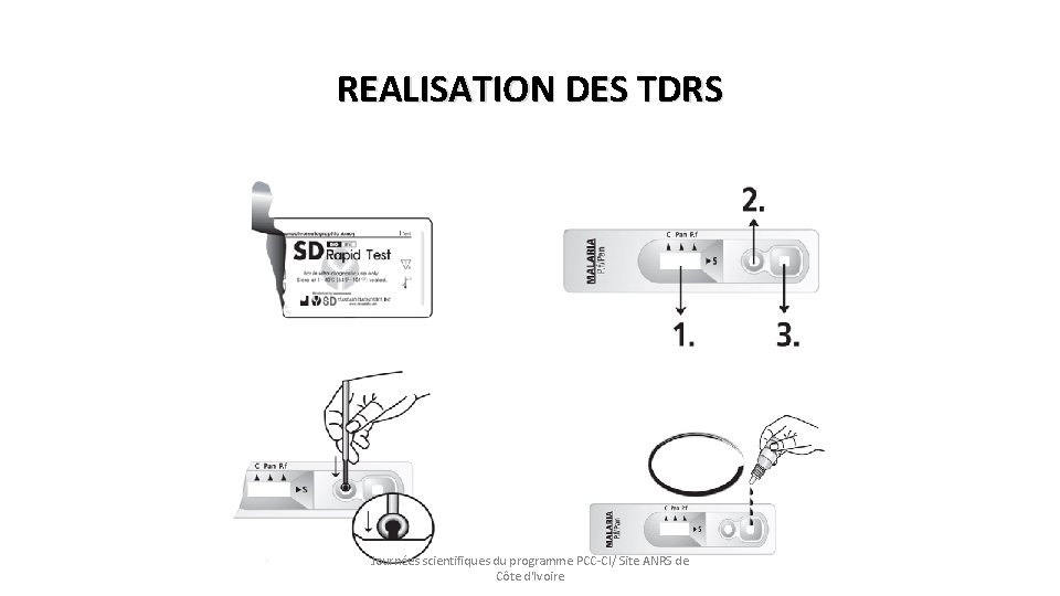 REALISATION DES TDRS Puits d’échantillon (a) (b) fenêtre pour les résultats (c) (d) 4