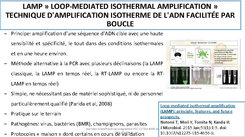 LAMP » LOOP-MEDIATED ISOTHERMAL AMPLIFICATION » TECHNIQUE D'AMPLIFICATION ISOTHERME DE L'ADN FACILITÉE PAR BOUCLE