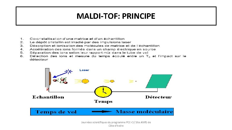 MALDI-TOF: PRINCIPE Journées scientifiques du programme PCC-CI/ Site ANRS de Côte d'Ivoire 