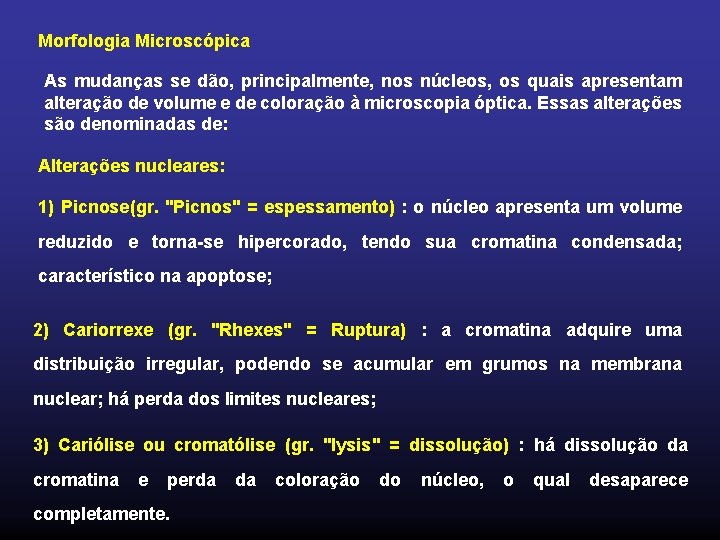 Morfologia Microscópica As mudanças se dão, principalmente, nos núcleos, os quais apresentam alteração de