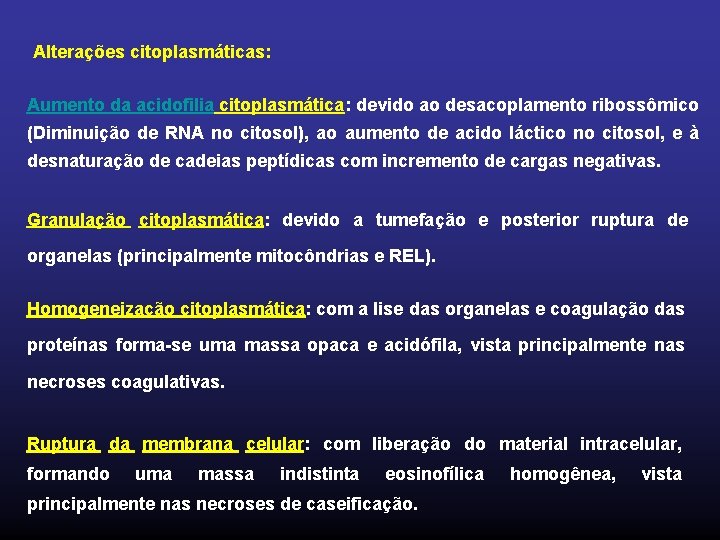 Alterações citoplasmáticas: Aumento da acidofilia citoplasmática: devido ao desacoplamento ribossômico (Diminuição de RNA no