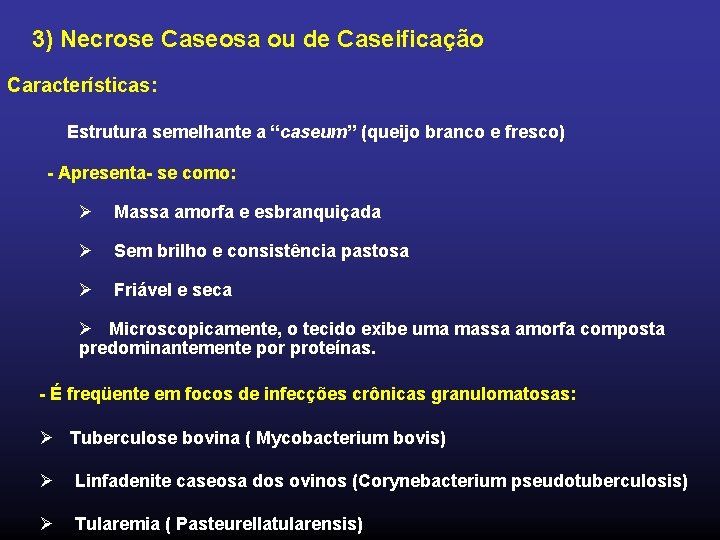 3) Necrose Caseosa ou de Caseificação Características: Estrutura semelhante a “caseum” (queijo branco e