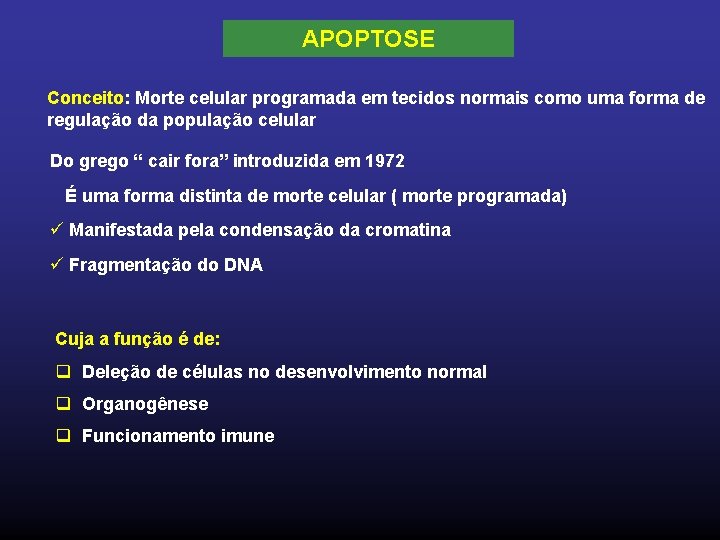 APOPTOSE Conceito: Morte celular programada em tecidos normais como uma forma de regulação da