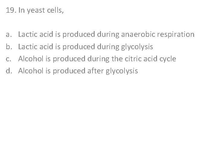 19. In yeast cells, a. b. c. d. Lactic acid is produced during anaerobic