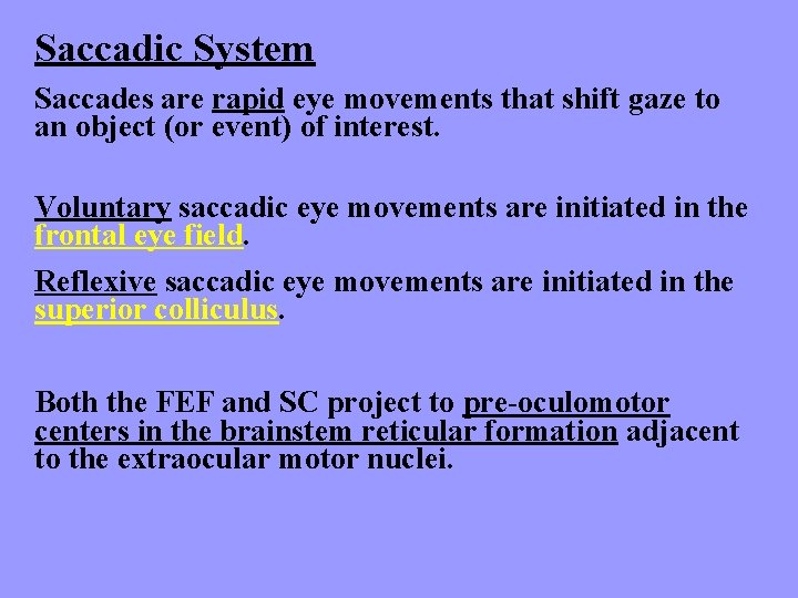 Saccadic System Saccades are rapid eye movements that shift gaze to an object (or