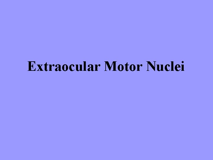 Extraocular Motor Nuclei 