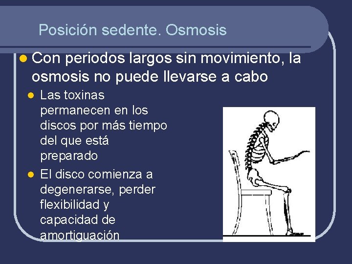 Posición sedente. Osmosis l Con periodos largos sin movimiento, la osmosis no puede llevarse