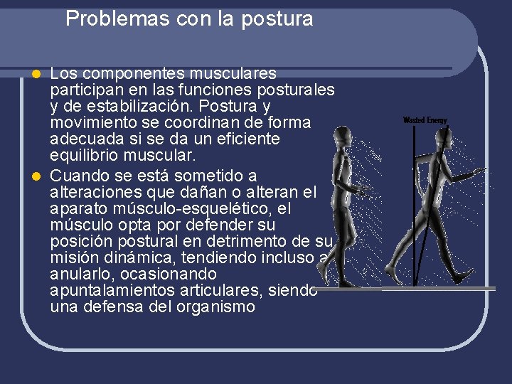 Problemas con la postura Los componentes musculares participan en las funciones posturales y de