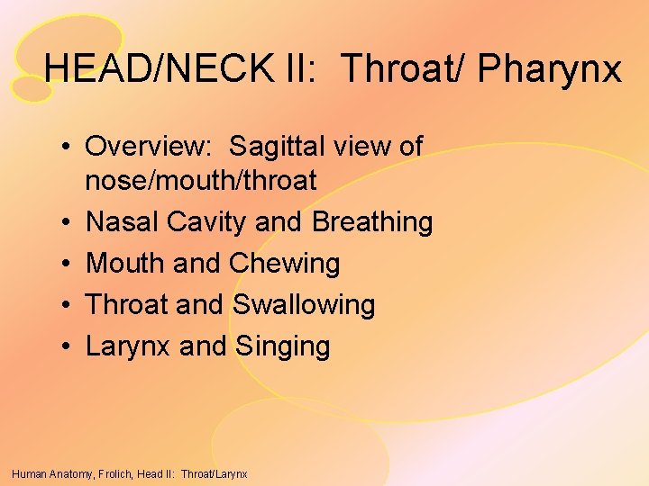 HEAD/NECK II: Throat/ Pharynx • Overview: Sagittal view of nose/mouth/throat • Nasal Cavity and