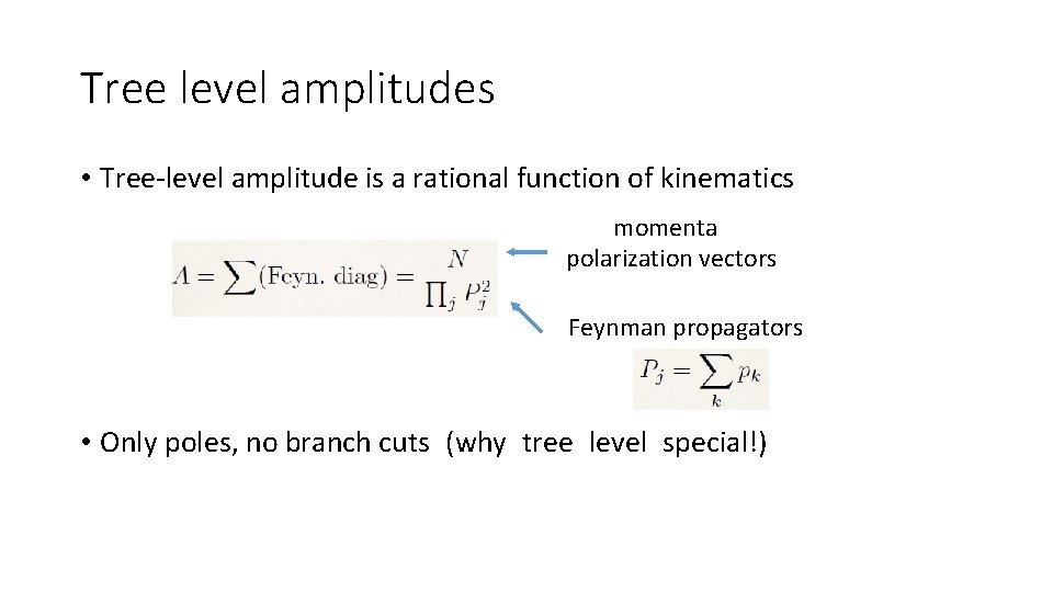 Tree level amplitudes • Tree-level amplitude is a rational function of kinematics momenta polarization