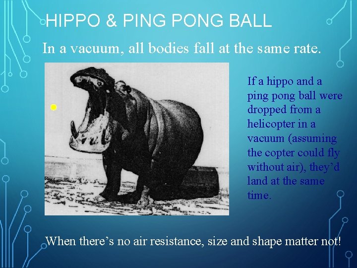 HIPPO & PING PONG BALL In a vacuum, all bodies fall at the same