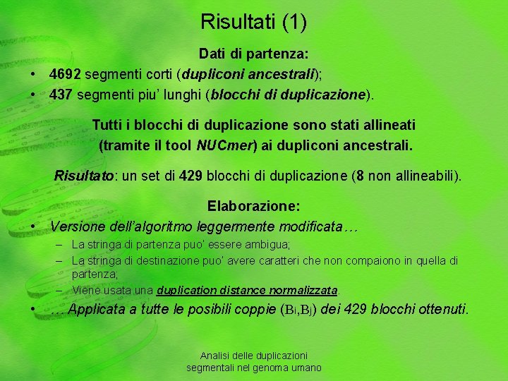 Risultati (1) Dati di partenza: • 4692 segmenti corti (dupliconi ancestrali); • 437 segmenti
