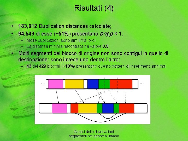 Risultati (4) • 183, 612 Duplication distances calcolate; • 94, 543 di esse (~51%)