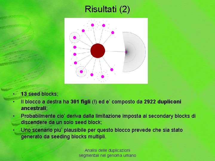 Risultati (2) • • 13 seed blocks; Il blocco a destra ha 301 figli