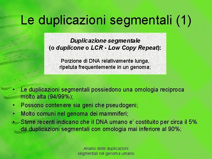 Le duplicazioni segmentali (1) Duplicazione segmentale (o duplicone o LCR - Low Copy Repeat):