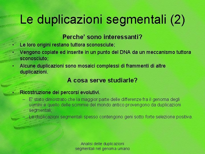 Le duplicazioni segmentali (2) Perche’ sono interessanti? • • • Le loro origini restano