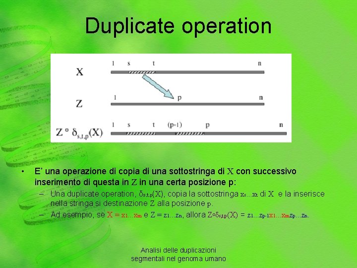 Duplicate operation • E’ una operazione di copia di una sottostringa di X con