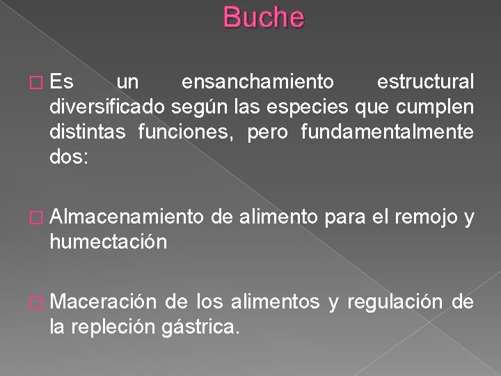 Buche � Es un ensanchamiento estructural diversificado según las especies que cumplen distintas funciones,