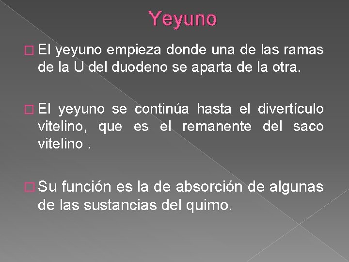 Yeyuno � El yeyuno empieza donde una de las ramas de la U del