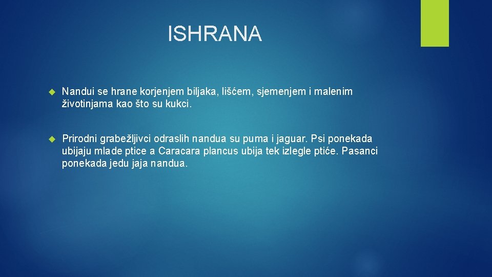 ISHRANA Nandui se hrane korjenjem biljaka, lišćem, sjemenjem i malenim životinjama kao što su