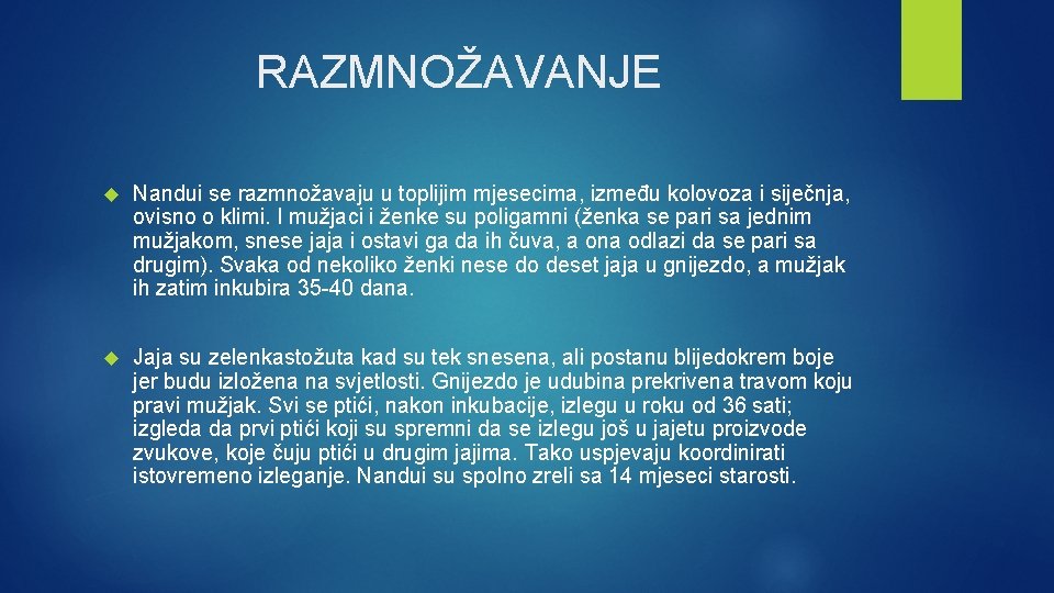 RAZMNOŽAVANJE Nandui se razmnožavaju u toplijim mjesecima, između kolovoza i siječnja, ovisno o klimi.