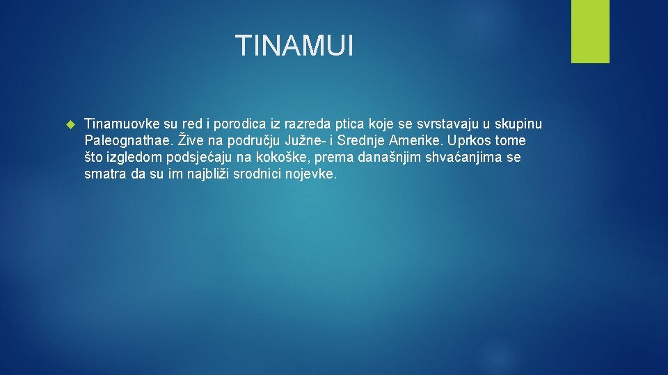 TINAMUI Tinamuovke su red i porodica iz razreda ptica koje se svrstavaju u skupinu