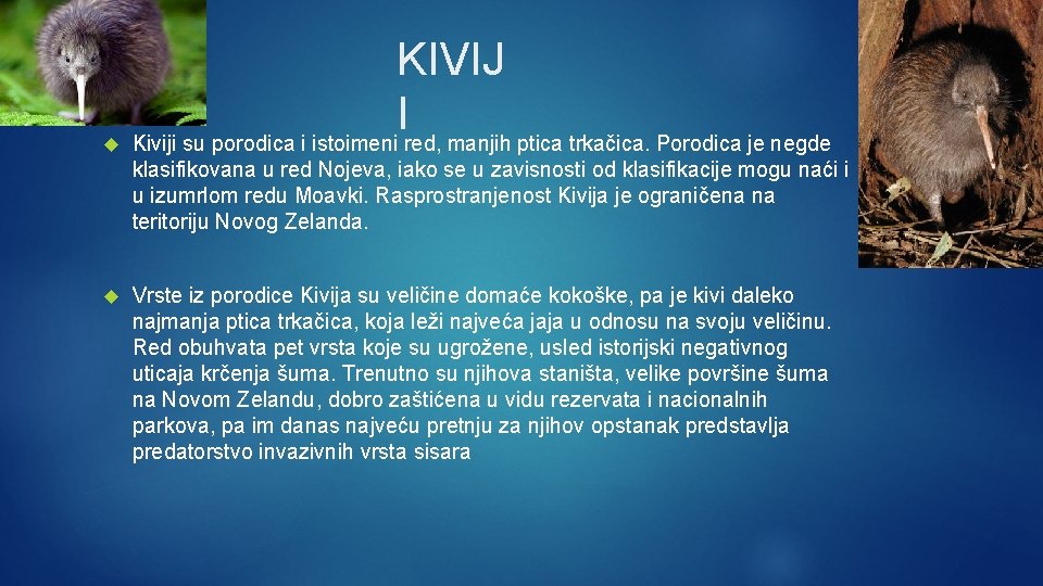  KIVIJ I Kiviji su porodica i istoimeni red, manjih ptica trkačica. Porodica je