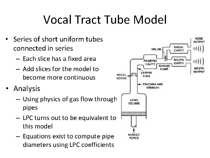 Vocal Tract Tube Model • Series of short uniform tubes connected in series –