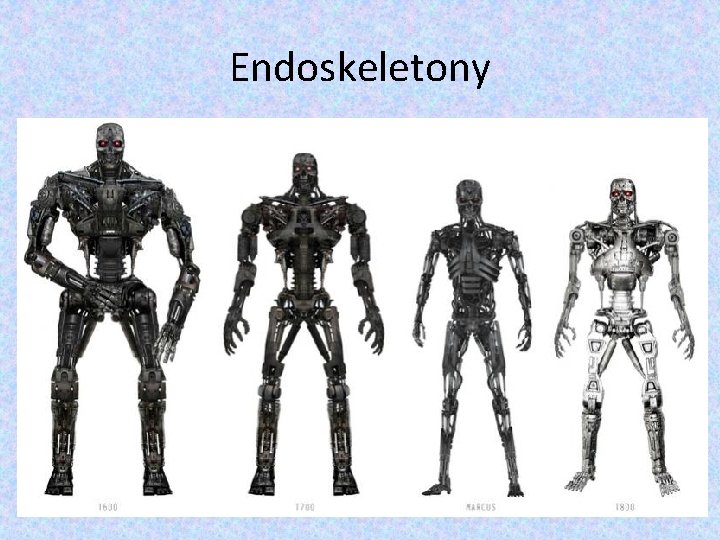 Endoskeletony Endoskeletony