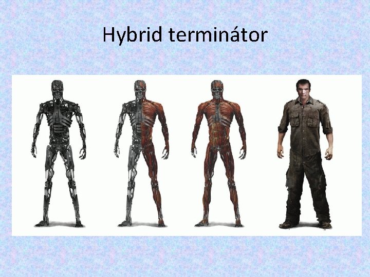 Hybrid terminátor Hybrid terminátor
