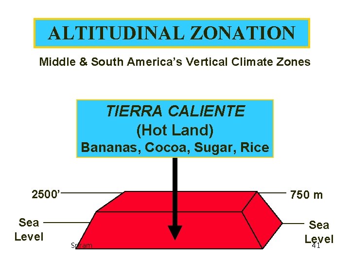 ALTITUDINAL ZONATION Middle & South America’s Vertical Climate Zones TIERRA CALIENTE (Hot Land) Bananas, ALTITUDINAL ZONATION Middle & South America’s Vertical Climate Zones TIERRA CALIENTE (Hot Land) Bananas,