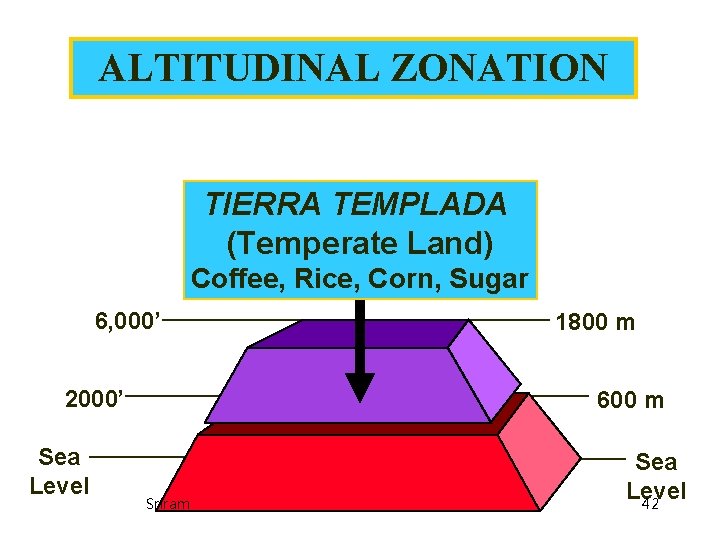 ALTITUDINAL ZONATION TIERRA TEMPLADA (Temperate Land) Coffee, Rice, Corn, Sugar 6, 000’ 2000’ Sea ALTITUDINAL ZONATION TIERRA TEMPLADA (Temperate Land) Coffee, Rice, Corn, Sugar 6, 000’ 2000’ Sea