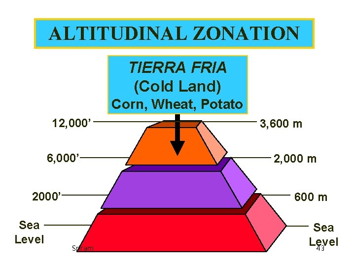 ALTITUDINAL ZONATION TIERRA FRIA (Cold Land) Corn, Wheat, Potato 12, 000’ 6, 000’ 2000’ ALTITUDINAL ZONATION TIERRA FRIA (Cold Land) Corn, Wheat, Potato 12, 000’ 6, 000’ 2000’