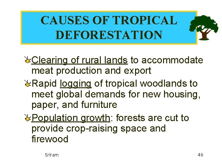 CAUSES OF TROPICAL DEFORESTATION Clearing of rural lands to accommodate meat production and export CAUSES OF TROPICAL DEFORESTATION Clearing of rural lands to accommodate meat production and export