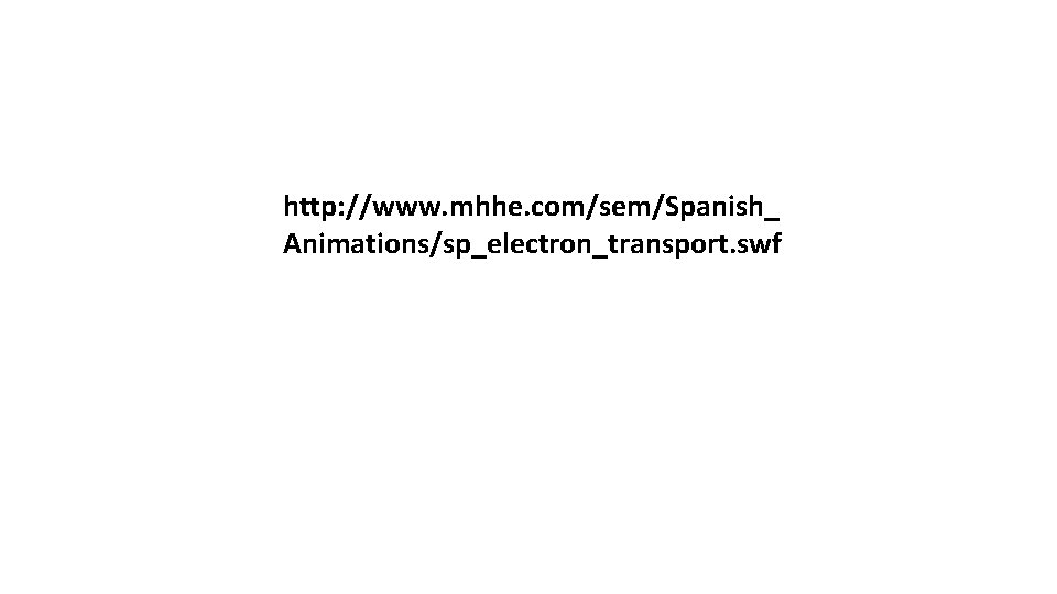 http: //www. mhhe. com/sem/Spanish_ Animations/sp_electron_transport. swf 