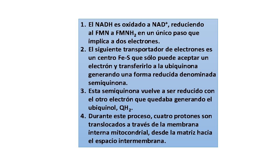 1. El NADH es oxidado a NAD+, reduciendo al FMN a FMNH 2 en