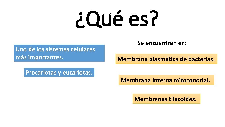 ¿Qué es? Uno de los sistemas celulares más importantes. Procariotas y eucariotas. Se encuentran