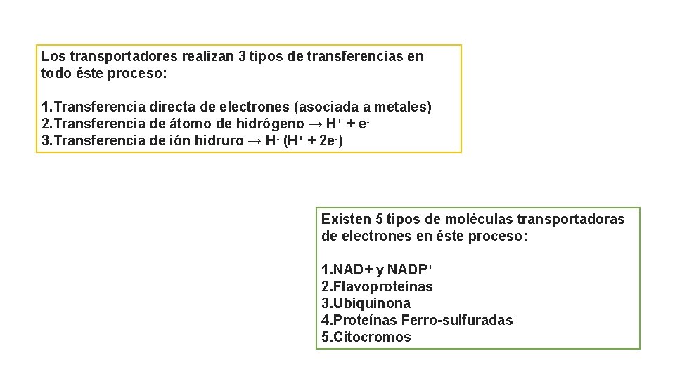 Los transportadores realizan 3 tipos de transferencias en todo éste proceso: 1. Transferencia directa