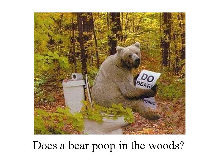 Does a bear poop in the woods? 