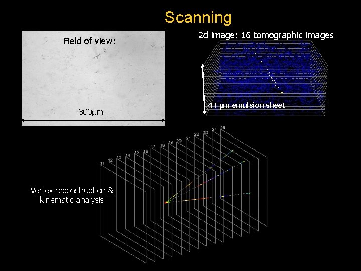 Scanning Field of view: 300 m Vertex reconstruction & kinematic analysis 2 d image: