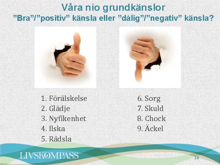 Våra nio grundkänslor ”Bra”/”positiv” känsla eller ”dålig”/”negativ” känsla? 1. Förälskelse 2. Glädje 3. Nyfikenhet