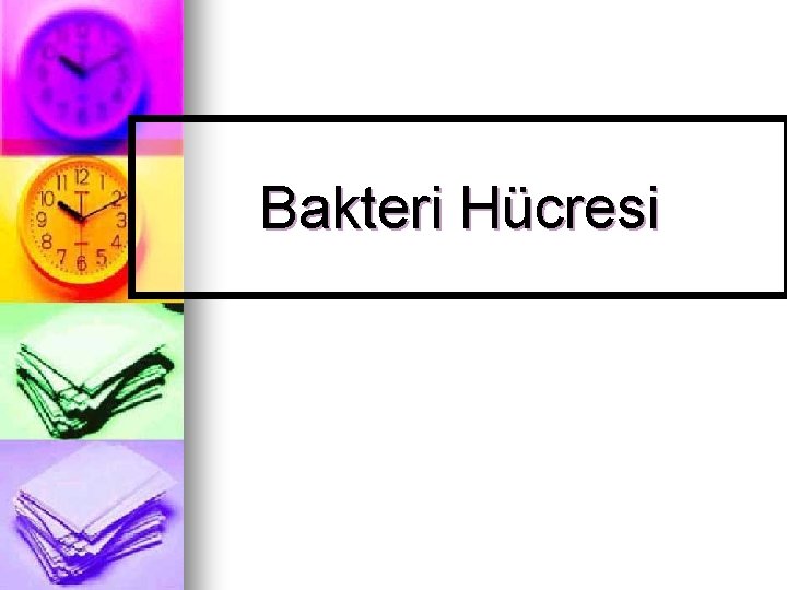 Bakteri Hücresi 