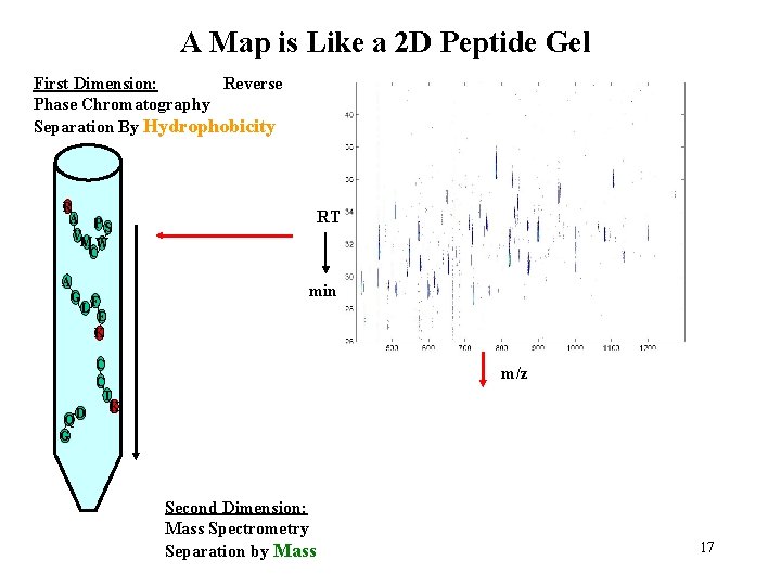 A Map is Like a 2 D Peptide Gel First Dimension: Reverse Phase Chromatography