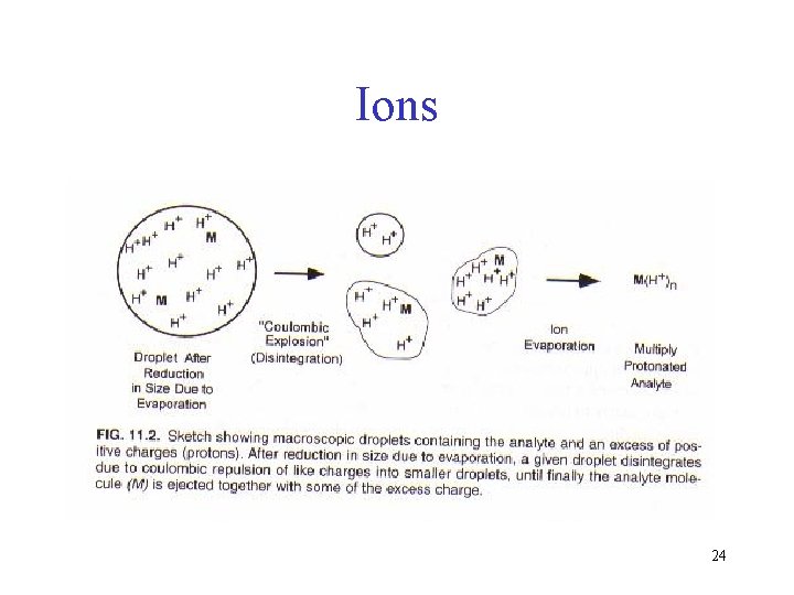 Ions 24 