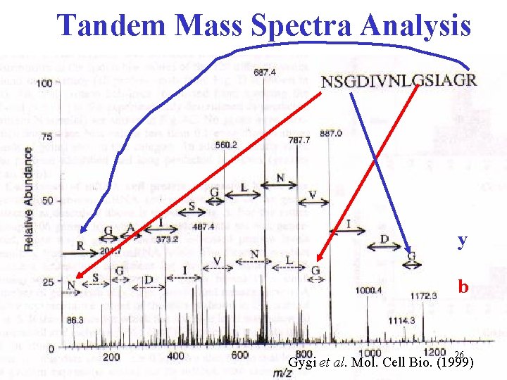 Tandem Mass Spectra Analysis y b 26 Gygi et al. Mol. Cell Bio. (1999)