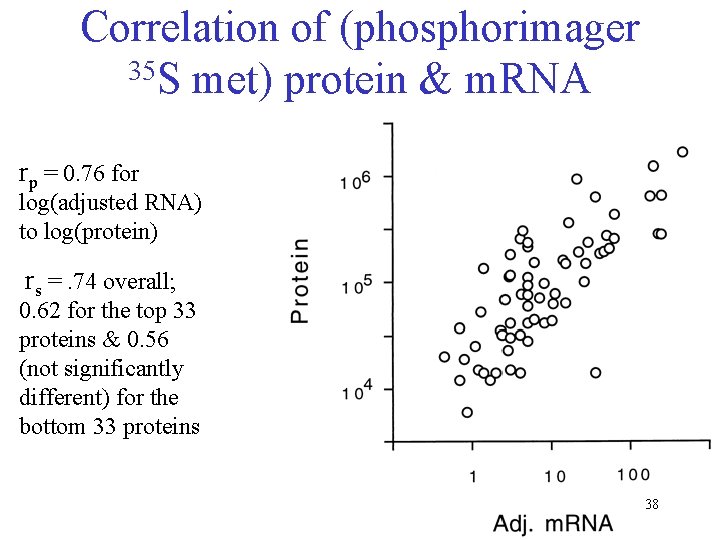 Correlation of (phosphorimager 35 S met) protein & m. RNA rp = 0. 76